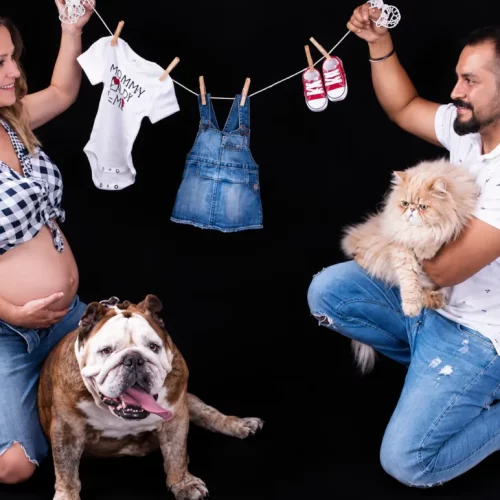 Fotos de embarazo con mascota | Roxana Silvera